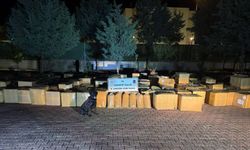 Gaziantep’te jandarma kaçakçılara göz açtırmıyor