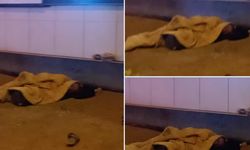 Gaziantep’te sokakta yatan kişi yürekleri burktu