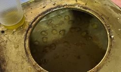 Vatandaşların sağlığıyla oynayacaklardı! Gaziantep’in komşu ilinde 1 ton bozulmuş zeytin ele geçirildi