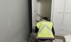 Vatandaşları 323 milyon TL dolandırmışlar! Dolandırıcılara Gaziantep merkezli operasyon…