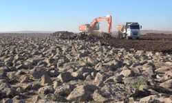 Taş gibi görünen yerden servet çıktı! Ülke ekonomisine büyük katkı sağlaması hedefleniyor