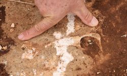 Yüz milyonlarca yıl önceye ait fosiller bulundu