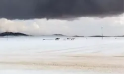 Arabistan’a kar yağdı mı, hangi bölgelere kar yağdı, Mekke ve Kabe’de kar görüldü mü?