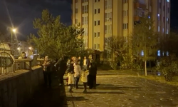 Van'da 4,6 büyüklüğündeki deprem sonrası ilk görüntüler