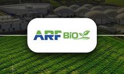 ARF Bio Yenilenebilir Enerji Halka Arzı Ne Zaman Sonuçlanır? Bireysel Yatırımcıya Kaç Lot Düşer?