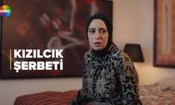 Kızılcık Şerbeti 119.bölüm fragmanı! Son bölümde neler yaşandı, yeni bölümde neler olacak?