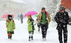 29 Aralık 2025 Kar Tatili Van, Bolu, Düzce, Bartın, Yozgat, Hakkari, Çankırı, Sinop, Mardin, Zonguldak okullar tatil mi