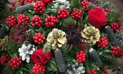 Kokina Çiçeği Suya Konur mu, Solar mı? Kokina’nın Ömrü, Bakımı ve Anlamı