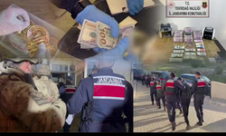 Bakan Yerlikaya duyurdu! Suç örgütlerine 7 ilde operasyon! 250 milyon TL'lik vurgun...