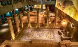 Zeugma Mozaik Müzesi Giriş Ücreti Ne Kadar? 2025 Güncel Bilgiler