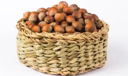 24 Ocak Cumartesi Fındık Fiyatları Ne Kadar? Fındık Fiyatları 290 TL’ye Dayandı: Giresun, Levant, Sivri Fındık Fiyatları