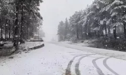 20 Ocak Salı idari izinli olan iller, kamu çalışanlarına tatil olan şehirler, İstanbul'da idari izin var mı?