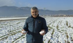 Gaziantep'te kar yağışı çiftçinin yüzünü güldürdü! Çiftçi için adeta can suyu oldu