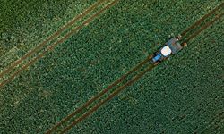 Bakan açıkladı: Destekleme ödemeleri hesaplara yatacak!