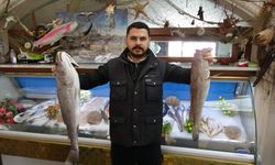 Gaziantep'te balık, kebabın tahtını sallıyor! Vatandaşlar balığa yöneldi...