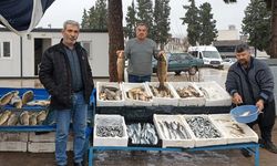 Araban’da soğuk hava balığa talebi artırdı