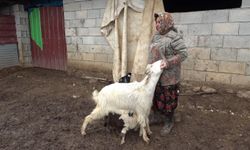 Gaziantep’te yürekleri ısıtan olay!