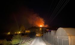 Antalya'da evleri tehdit eden orman yangını kontrol altına alındı