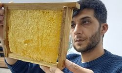 Araban'da üretilen bala yoğun talep