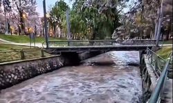 Alleben Deresi adeta çağladı! İşte o anlar…