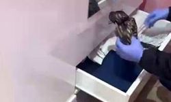 Zehir tacirlerine geçit yok! Çok sayıda fişek ve uyuşturucu ele geçirildi