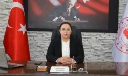 Nazlı Demir (biyografisi) kimdir, kaç yaşında? Göç İdaresi Daire Başkanı hangi görevlerde bulundu?