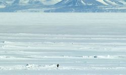 Nihilist Penguen Olayı Nedir, Öldü mü? Belgeselin Perde Arkası