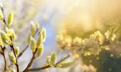 2026'da ilk cemre ne zaman düşecek? Hangi tarihte havaya cemre düşüyor?