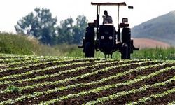 Çiftçilere destekleme ödemesi yapılacak!