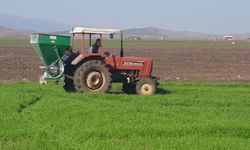 Gaziantep'te çiftçilerde gübreleme telaşı başladı