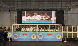 Gaziantep'te '29. Türkiye Filo Güvercin Güzellik Festivali' düzenlendi