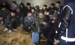 Göçmen kaçakçılarına bir darbe daha! 5 ilde operasyon! 115 düzensiz göçmen yakalandı