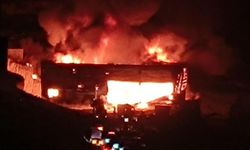 Zeytin ve fıstık işleme fabrikasında yangın!