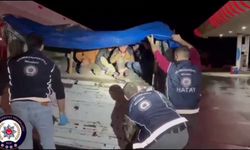 Emniyetten şok darbe! Kaçak göçmenleri dorseye gizlemişler…