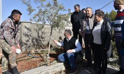 Antep fıstığı ve zeytin üreticilerine budama eğitimi veriliyor!