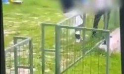 Akran zorbalığı: Çocuğu feci şekilde darbederek bayılttı!