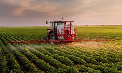 Türkiye son 20 yılda, Antalya'dan büyük tarım alanını kaybetti