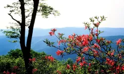 Cemre düşmesi nedir? 2026 cemre tarihleri belli oldu mu? Havaya, suya ve toprağa cemre ne zaman düşer?