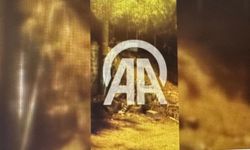 Gaziantep’te facianın eşiğinden dönüldü! Mezarlığın istinat duvarı çöktü