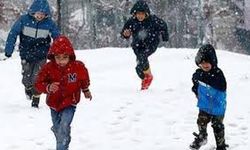 Yarın Muş'ta okullar tatil mi? 3 Şubat okul var mı yok mu? Muş Valiliği kar tatili açıklaması yaptı mı?