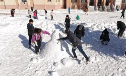 Valiliklerden Peş Peşe Açıklama! 2 Şubat’ta Okullar Tatil mi? Hangi İllerde Kar Tatili Var?