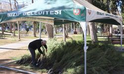 Nizip'te Ücretsiz 15 Bin Fidan Dağıtımı