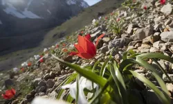 Cemre ne zaman düşecek 2026? Birinci, ikinci ve üçüncü cemre havaya, suya ve toprağa hangi tarihlerde düşer?