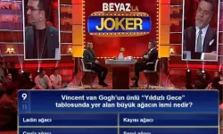 Vincent van Gogh’un ünlü Yıldızlı Gece tablosunda yer alan büyük ağacın ismi nedir, doğru cevap hangisi?