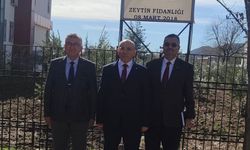 Gaziantep’te TSKGV’ye zeytin gelirinden bağış: Bağışçılara berat ve madalya takdim edildi