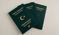 Veterinerler yeşil pasaport alabilecek mi, Veteriner Odası ne açıklama yaptı, hangi mesleklere yeşil pasaport verilecek?