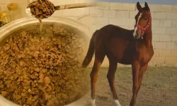 Mersin aşevi kavurma skandalı nedir, at eti mi çıktı, Smart Latch kimdir?