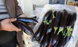 Gaziantep’te kilosu 200 TL olunca böyle oldu… Patlıcanda 4 taksit dönemi!