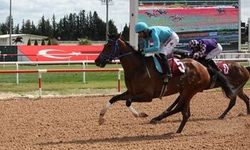 18 Mart 2026 Günün Yarışları Şanlıurfa Hangi Kanalda, Saat Kaçta, TJK TV Canlı İzle Bilgileri