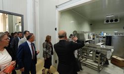 Gaziantep’te Türkiye’nin en büyük sarımsak işleme tesisine Şahin’den ziyaret